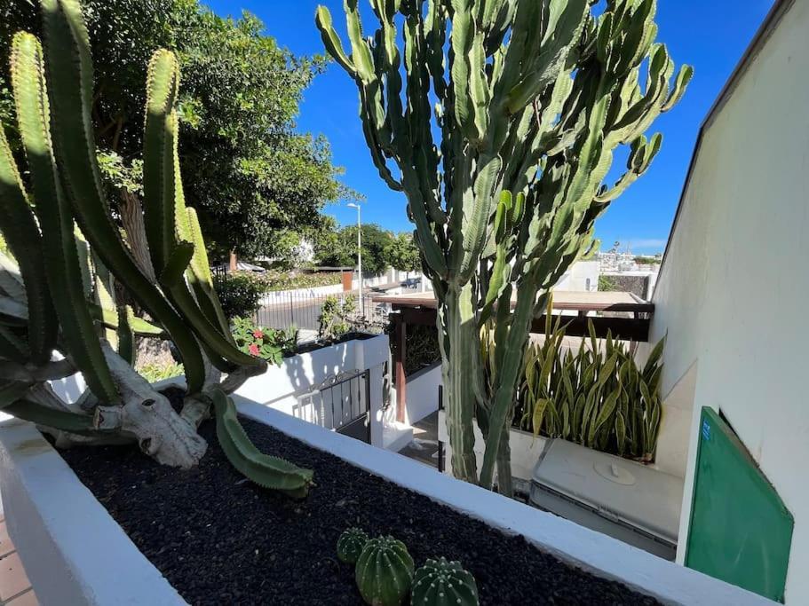 Paradise Playa Chica Con Terraza A 100M Del Mar بويرتو ذيل كارمين المظهر الخارجي الصورة